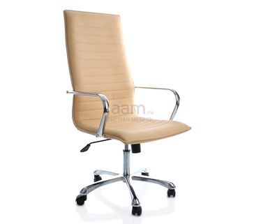 Кресло для руководителя Aim Ex