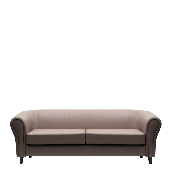 С-17-3-brown-1